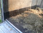 Ifor Williams verkocht_1